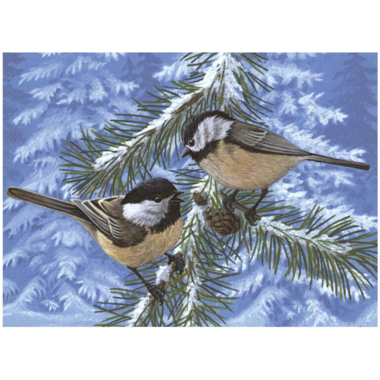 Илюстрация на две врапчета на заснежена елха през зимата.