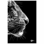 Тетрадка А4 Street 96 листа широки редове офсет