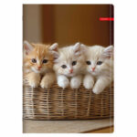 Тетрадка ILIJANUM Pets A4 80л офсет ш.р. - Image 3