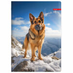 Тетрадка ILIJANUM Pets A4 80л офсет ш.р. - Image 9