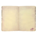 Блестящ тефтер А5 с PVC подвързия Santoro Gorjuss Sea Nixie - Image 2